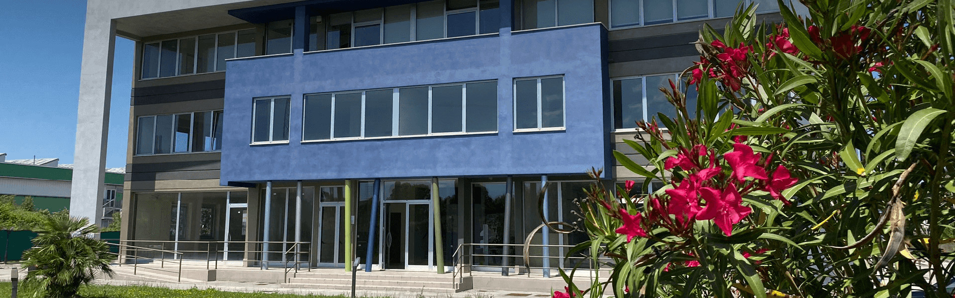 Dermacademy: un centro di eccellenza a Pisa